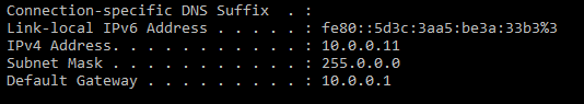 Client-IPConfig